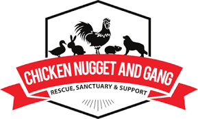 Chicken Nugget and Gang, Inc