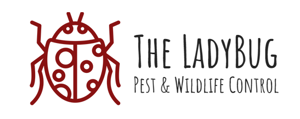 The LadyBug Pest & Wildlife Control